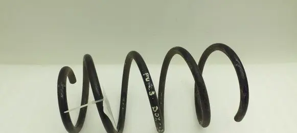 Peugeot Boxer Rear coil spring