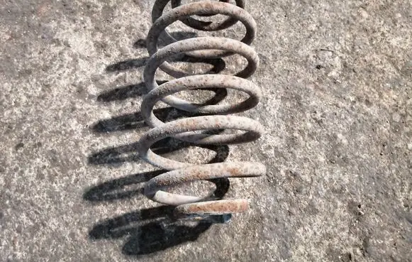 Rear coil spring