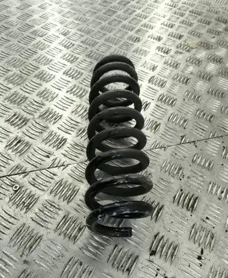 Rear coil spring