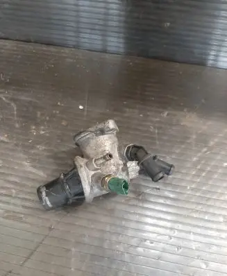 Thermostat/thermostat housing
