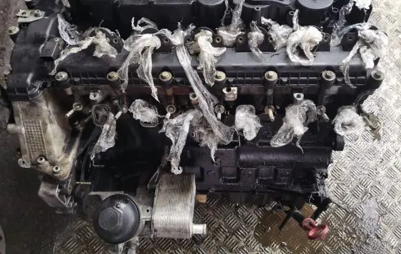 BMW 5 E39 Engine M57D25 DFG8150 1769150