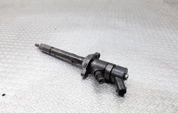 Citroen C5 Fuel injector 0445110259