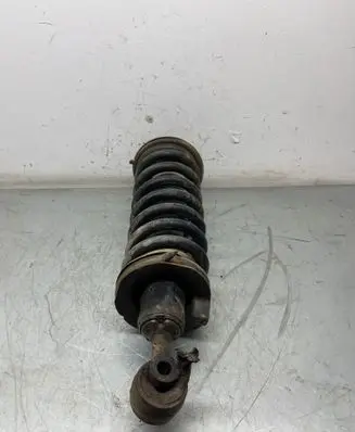 Nissan Pathfinder R51 Front shock absorber/damper 56110