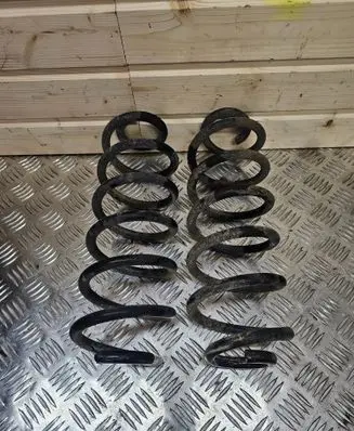 Rear coil spring