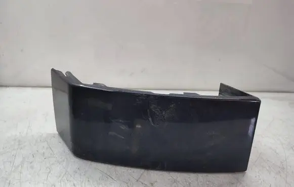 Rear/tail light trim molding
