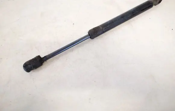 Chrysler 300 - 300C Tailgate/trunk strut/damper 04589589aa