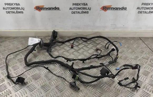 Mini Cooper Countryman R60 Front door wiring loom 9805461