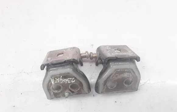 Peugeot 307 Rear door hinge set 