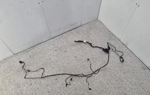 BMW 1 F20 F21 Parking sensor (PDC) wiring loom 673354 43678861 1104161540