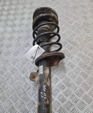 Peugeot 206 Front shock absorber with coil spring 5759G