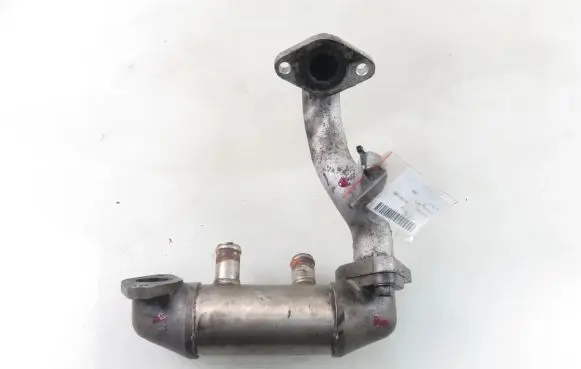 Hyundai H-1, Starex, Satellite EGR valve cooler
