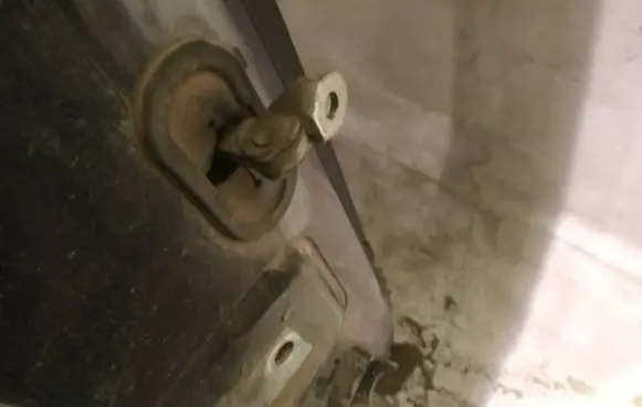 Rear door check strap stopper