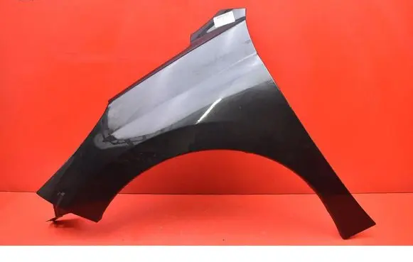 Peugeot 207 CC Fender