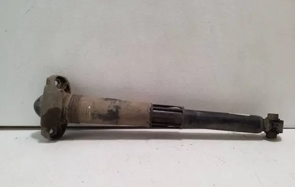 Cupra Born Rear shock absorber/damper 1EA512011AL