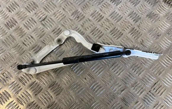 Toyota Mirai II Tailgate/trunk/boot hinge