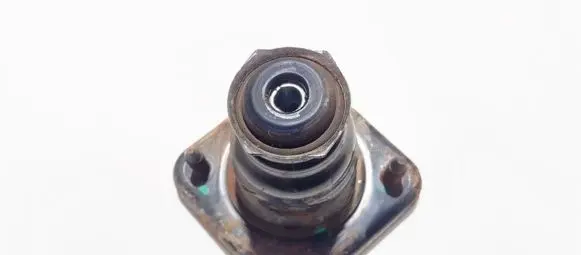Coil spring mount
