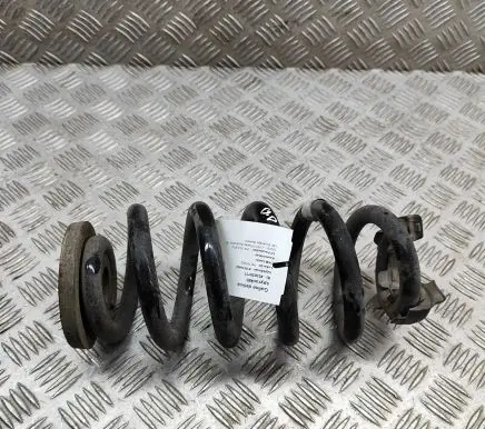 Volkswagen ID.4 Rear coil spring 1EA511103D