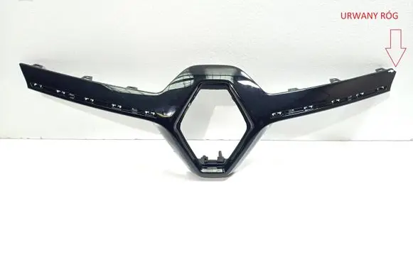 Renault Kadjar Front grill 60X105-2 623829863R