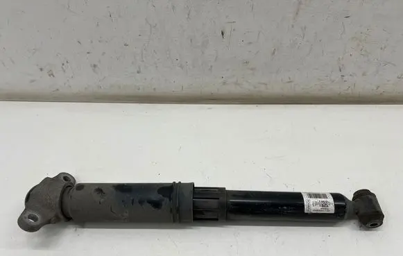 Ford Mustang Mach-E Rear shock absorber/damper LJ9C18080EBJ