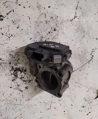 Citroen C3 Picasso Throttle valve 9673534480 28275019