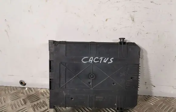 Citroen C4 Cactus Fuse module 9807532080