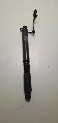 Tesla Model X Front shock absorber with coil spring 06722 106344100F 211539681