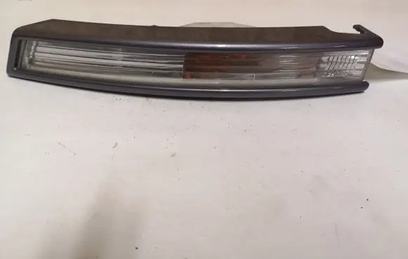Volkswagen PASSAT B6 Front indicator light 3C0953041L
