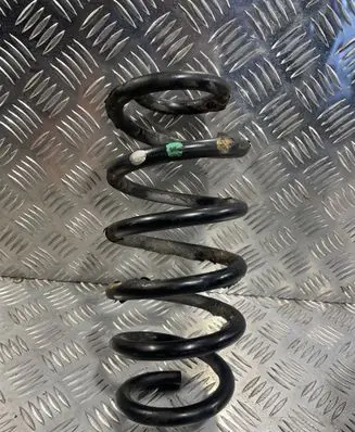 Rear coil spring
