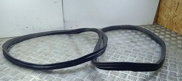 Mercedes-Benz GLE (W166 - C292) Front door rubber seal A1666970051