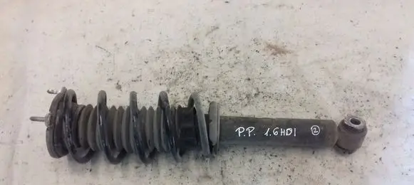Peugeot 407 Front shock absorber with coil spring