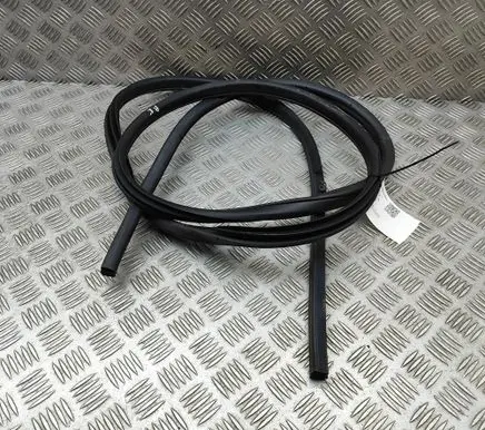 Nissan Leaf II (ZE1) Rubber seal front coupe door 808315SL0A