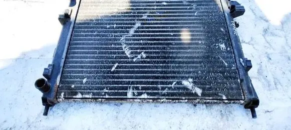 Renault Trafic II (X83) Coolant radiator 8200073817C 8200073817