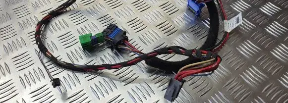 Peugeot 206 Other wiring loom 901319159 B5481 310303