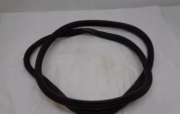 Citroen C4 III e-C4 Rubber seal rear door 