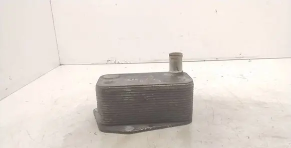 BMW 3 E46 Engine oil radiator 7787698 5989070102 47012