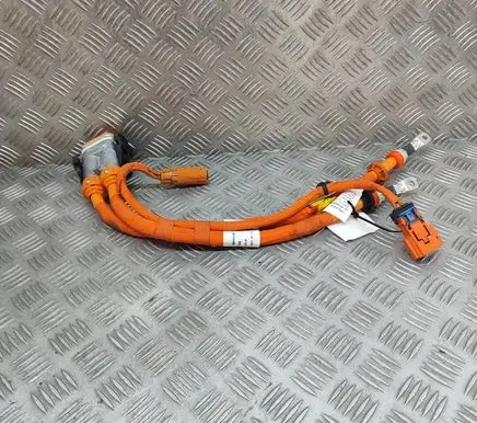 MG ZS Other wiring loom 10824433