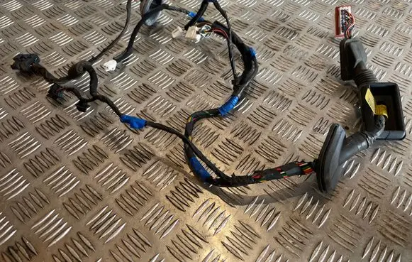 Hyundai Santa Fe Front door wiring loom 916102B200
