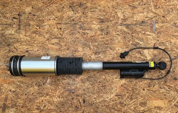 Mercedes-Benz S W220 Rear shock absorber/damper C08605405 AS2194