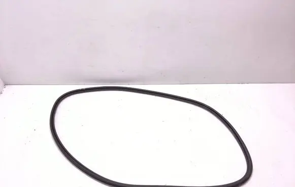 Polestar 2 Front door rubber seal