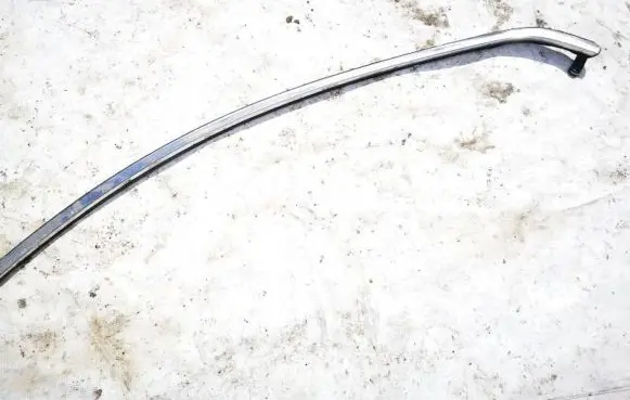 Opel Antara Front door glass trim molding p96660244