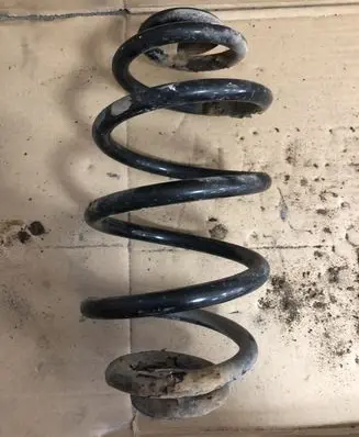 Volkswagen PASSAT B5 Rear coil spring