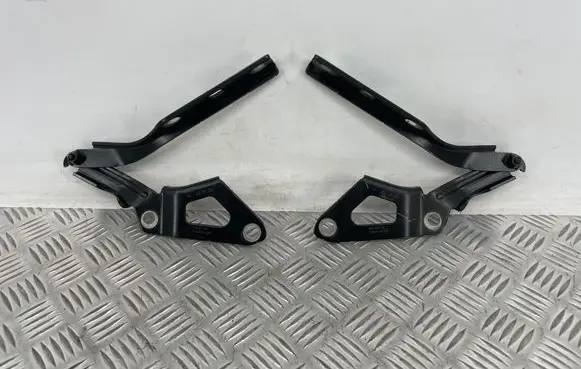 Volkswagen Tiguan Engine bonnet/hood hinges 5NA823302