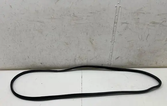 Hyundai Kona II Front door rubber seal