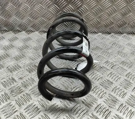 Tesla Model 3 Rear coil spring 104447201E