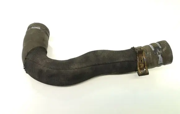 Citroen Berlingo Engine coolant pipe/hose