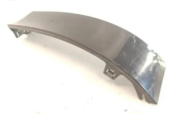 Rear/tail light trim molding