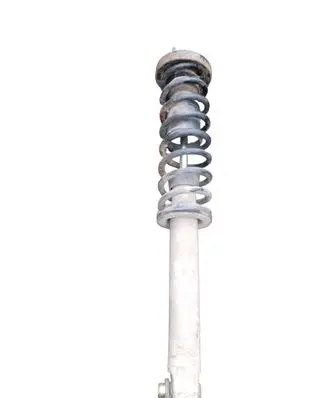 BMW 5 E39 Rear shock absorber/damper 1093646