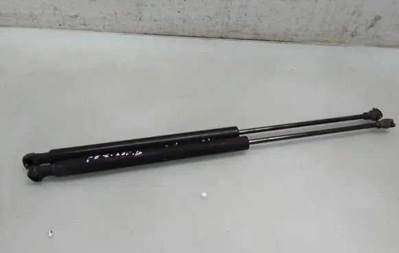 Tailgate/trunk strut/damper
