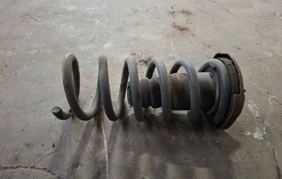 Rear coil spring