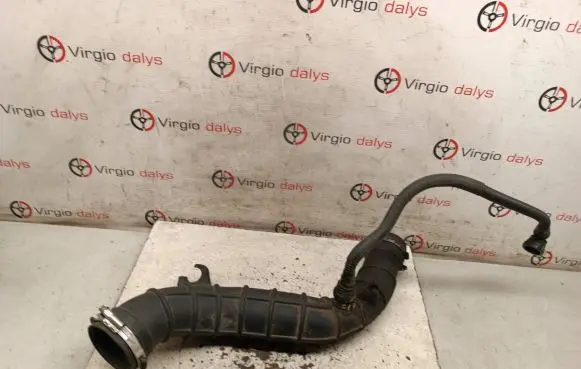 Renault Espace - Grand espace IV Intercooler hose/pipe 8200026095